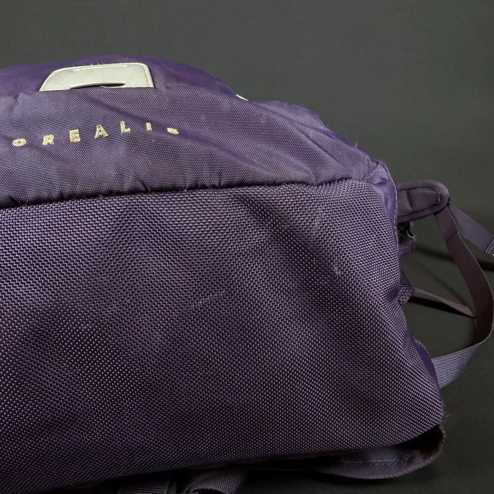 The North Face Borealis School Laptop Backpack Purple & Teal